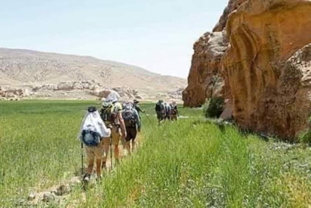 Bedouin Nature Travels 와디무사 외부 사진