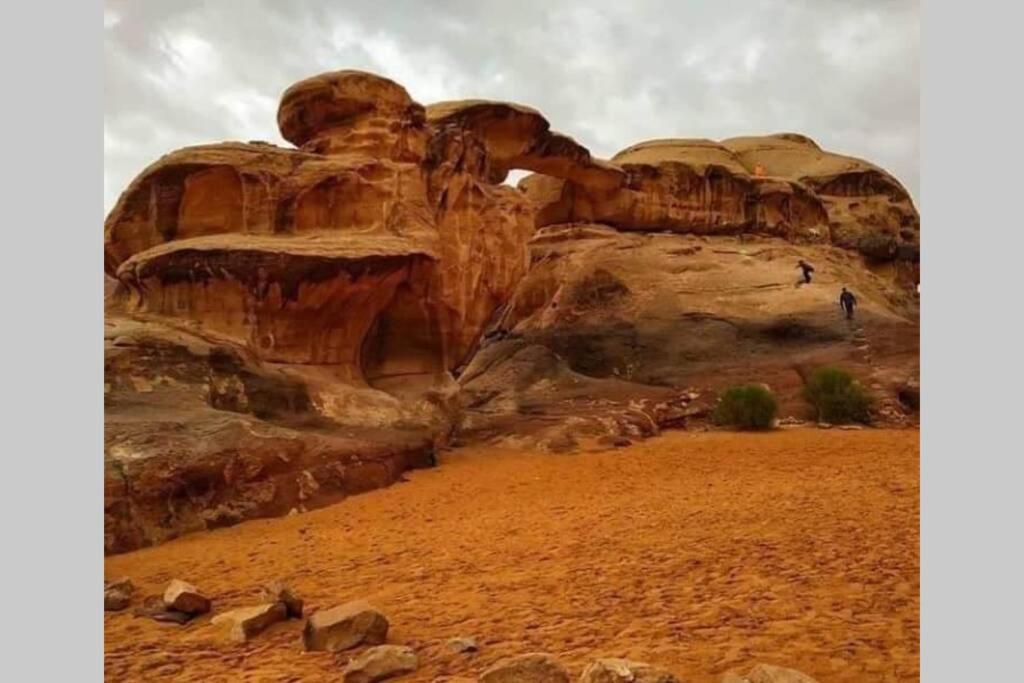 Bedouin Nature Travels 와디무사 외부 사진