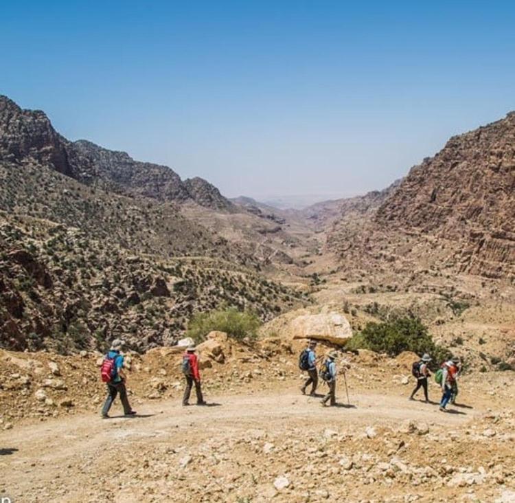Bedouin Nature Travels 와디무사 외부 사진