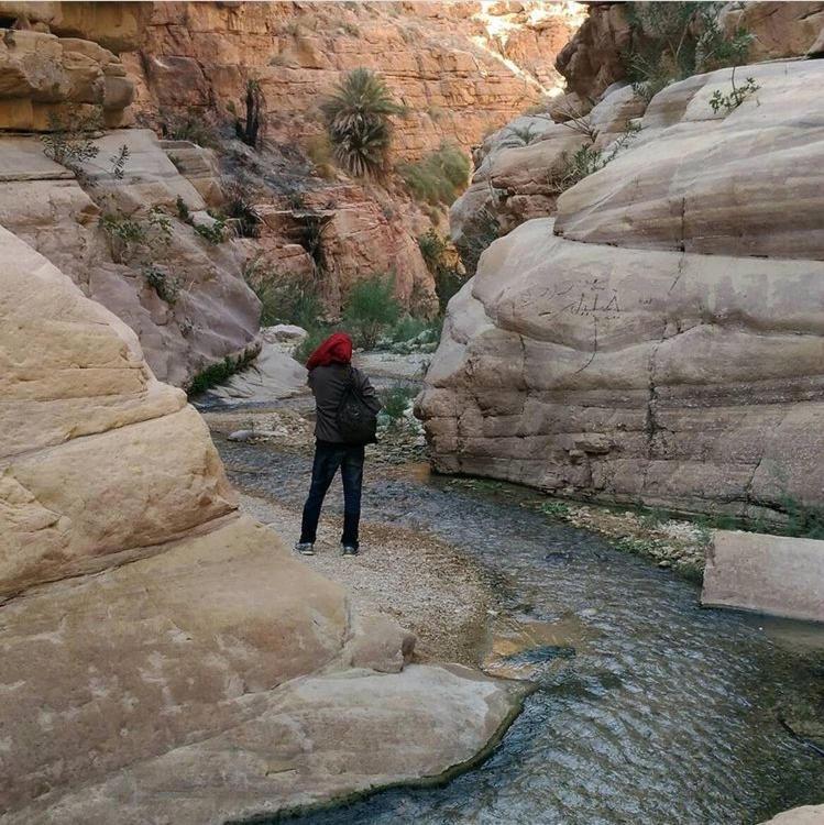 Bedouin Nature Travels 와디무사 외부 사진