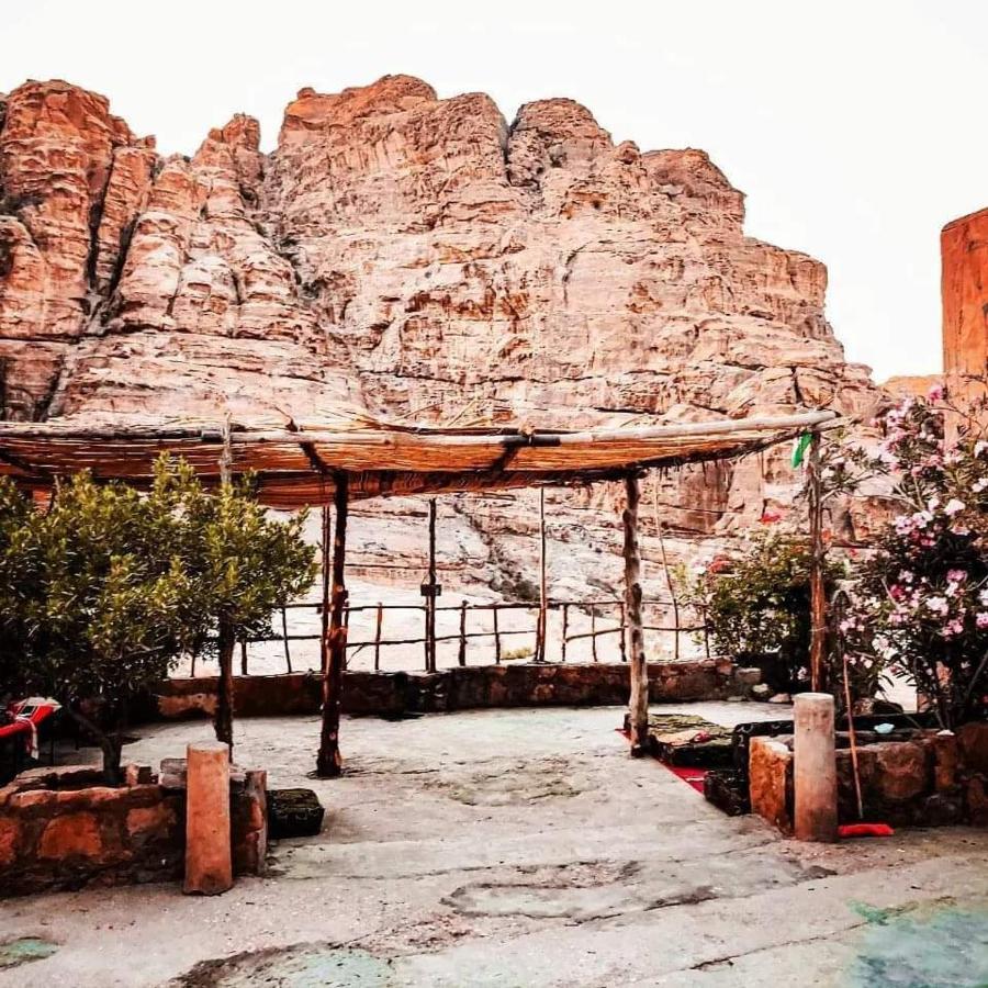 Bedouin Nature Travels 와디무사 외부 사진