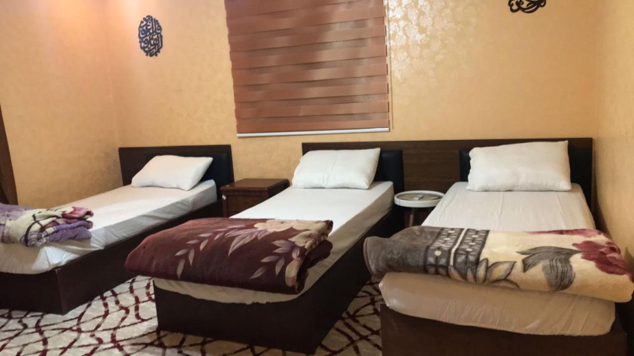Bedouin Nature Travels 와디무사 외부 사진