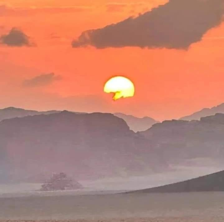 Bedouin Nature Travels 와디무사 외부 사진