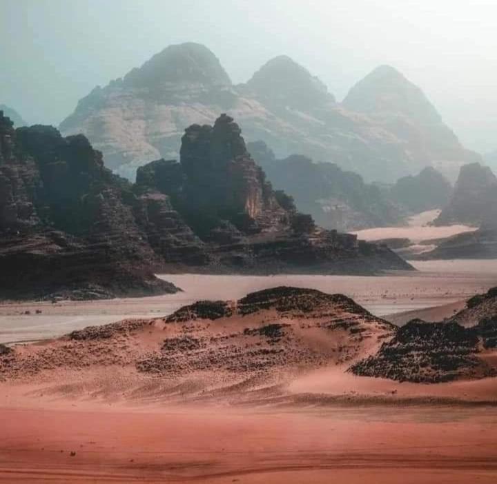 Bedouin Nature Travels 와디무사 외부 사진