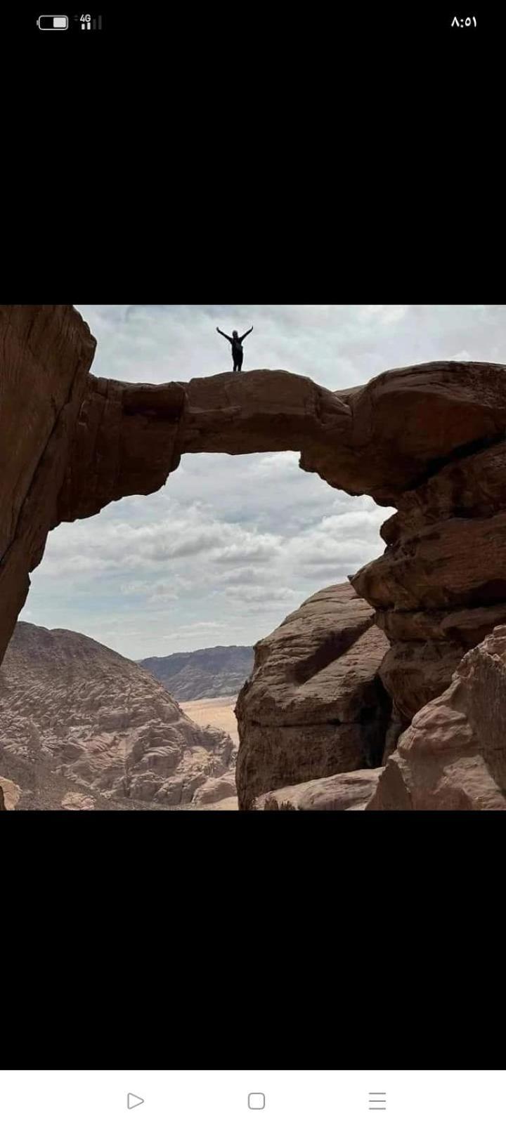 Bedouin Nature Travels 와디무사 외부 사진