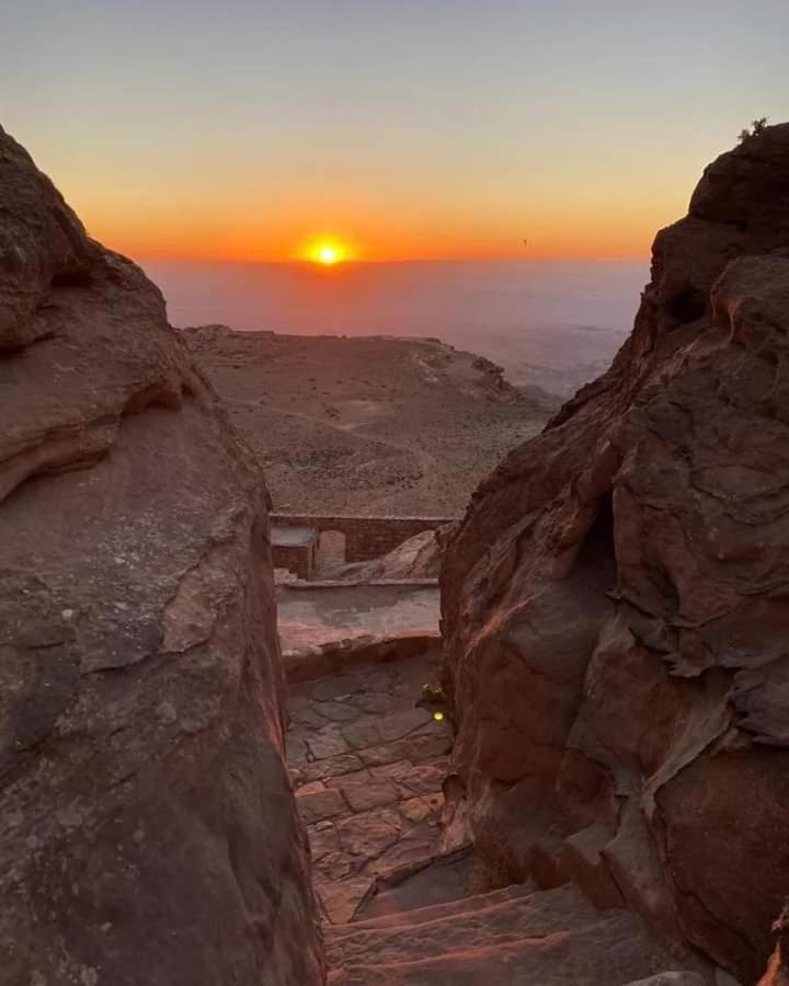 Bedouin Nature Travels 와디무사 외부 사진