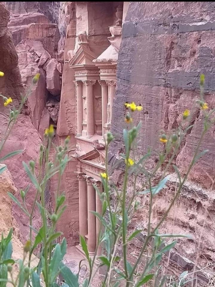 Bedouin Nature Travels 와디무사 외부 사진