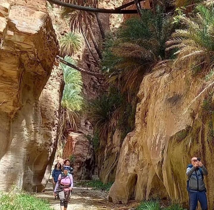 Bedouin Nature Travels 와디무사 외부 사진