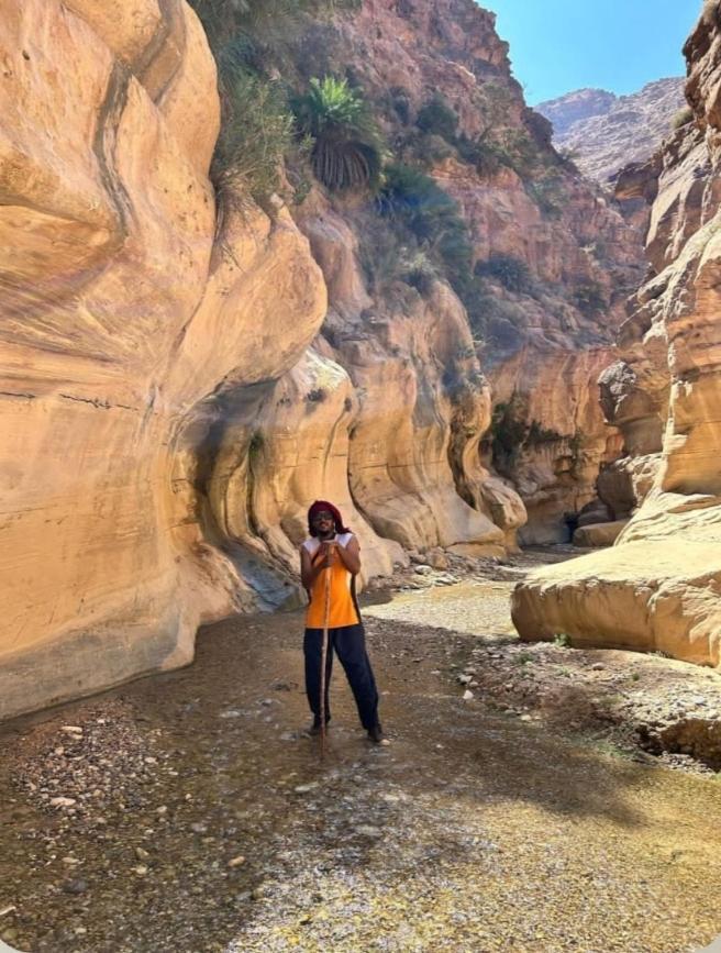 Bedouin Nature Travels 와디무사 외부 사진