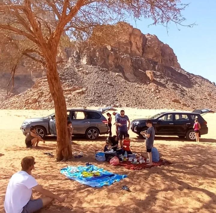 Bedouin Nature Travels 와디무사 외부 사진